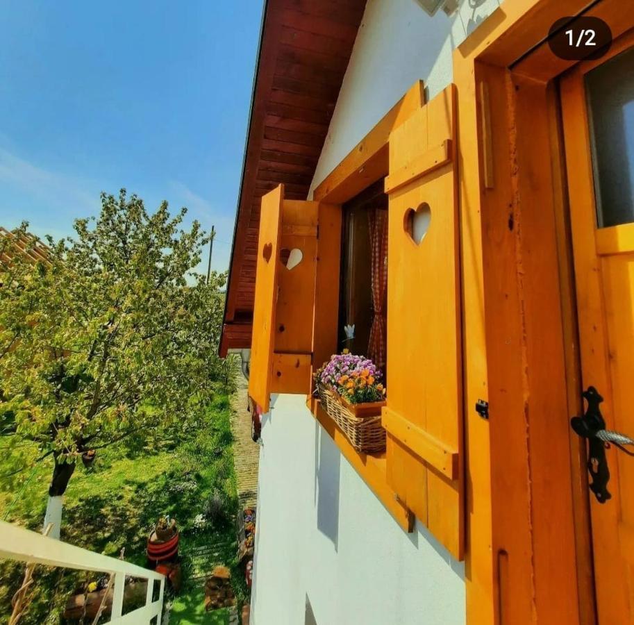 Kuca Za Odmor "Dva Srca" Hotel Ceminac Kültér fotó