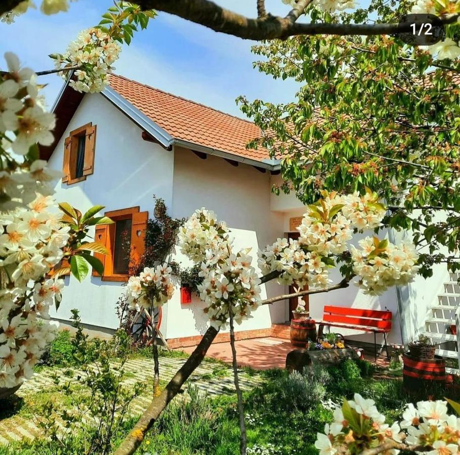 Kuca Za Odmor "Dva Srca" Hotel Ceminac Kültér fotó