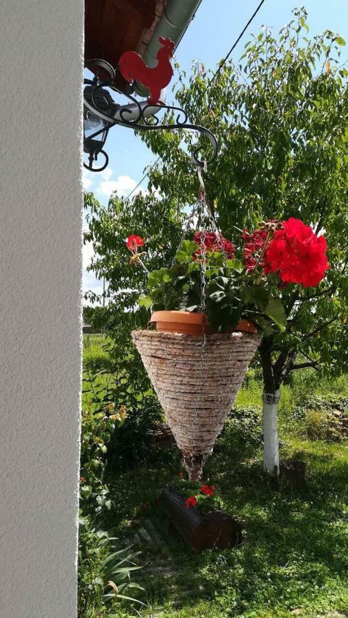 Kuca Za Odmor "Dva Srca" Hotel Ceminac Kültér fotó