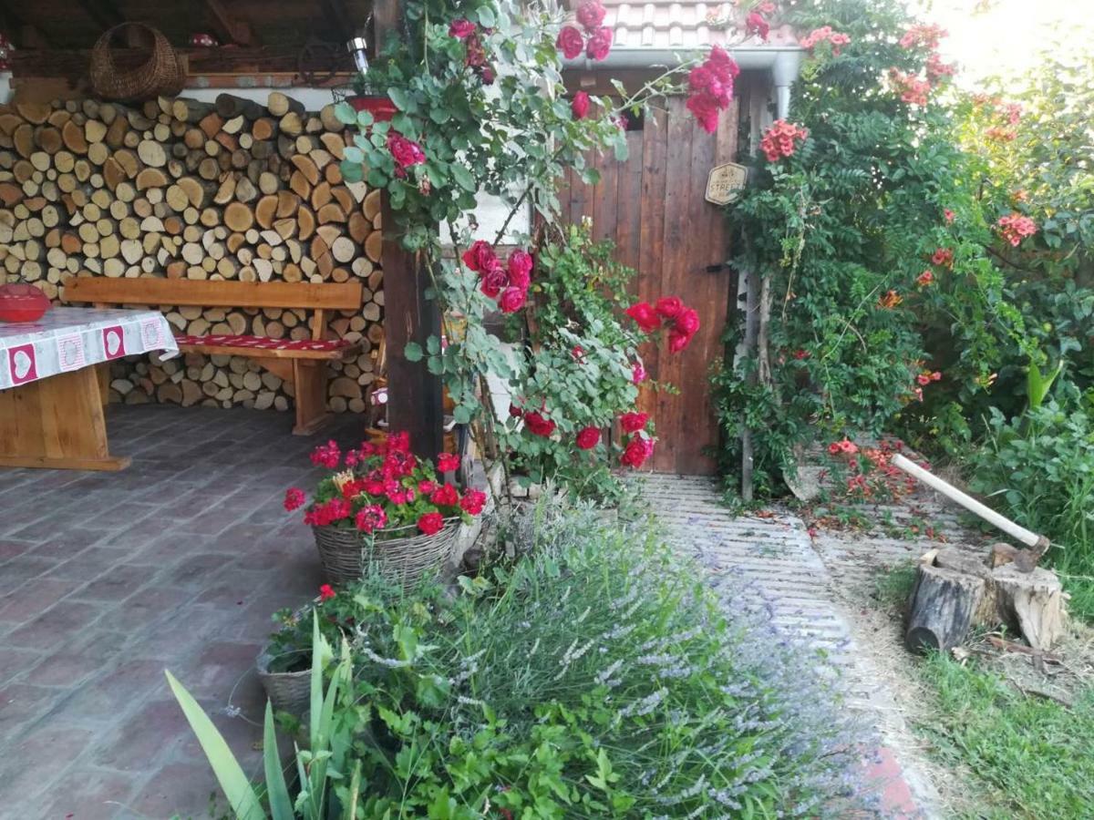Kuca Za Odmor "Dva Srca" Hotel Ceminac Kültér fotó